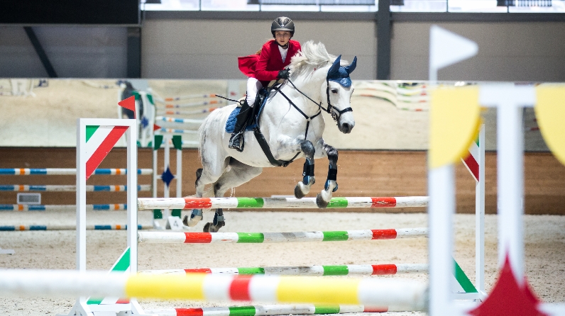 Министерство спорта республики татарстан. Соревнования по конному спорту 2020 Казань. Татарстан конный спорт. Конноспортивная база в Казани. Конный спорт Казань Мирный.