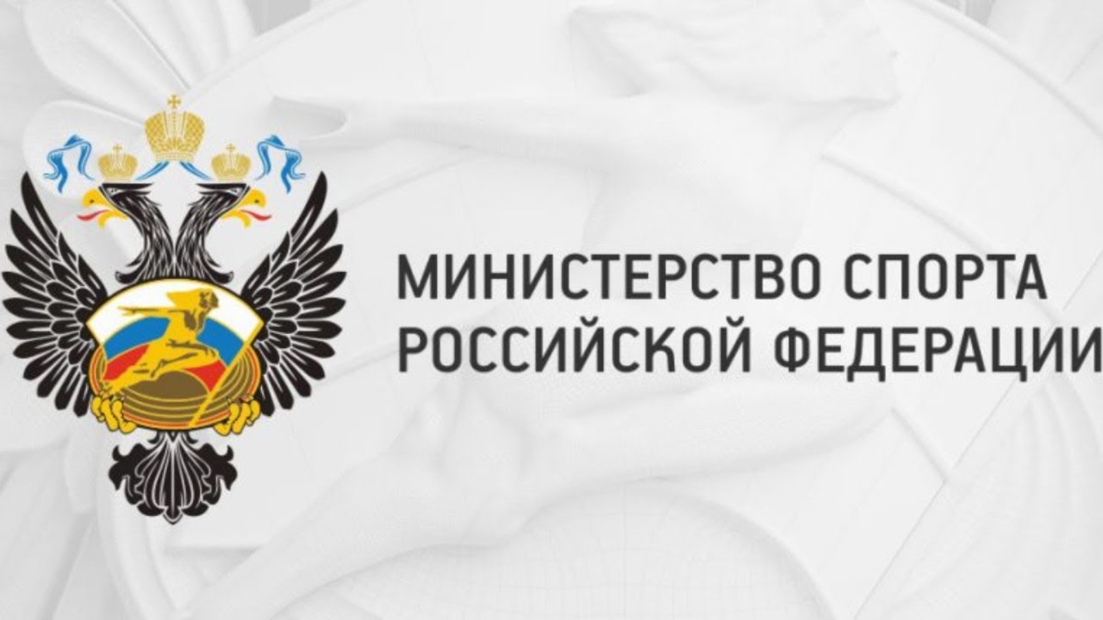 Грант министерства спорта рф для со нко реализующим проекты в сфере фкис