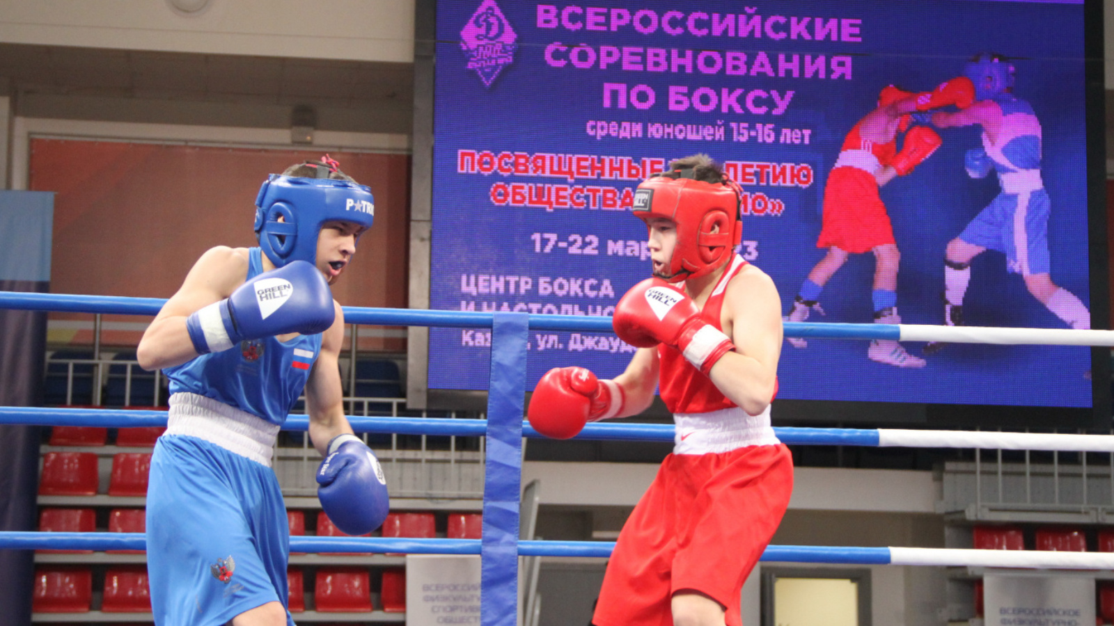 День боксера